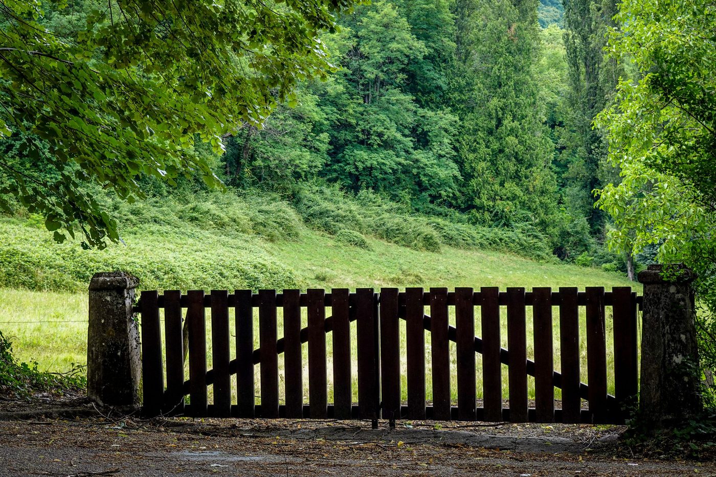 A closed dark wooden gate with stone posts stands in front of a wooded hillside
