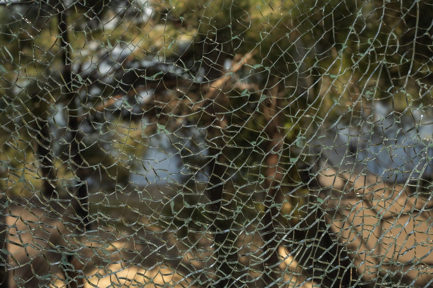 Shattered glass with a garden blurred behind it