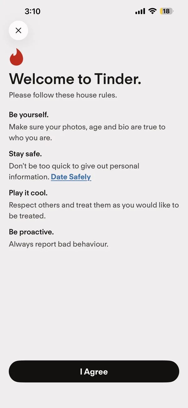 Tinder&rsquo;s Welcome to Tinder house rules screen
